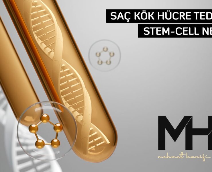Saç Kök Hücre Tedavisi, Stem-cell